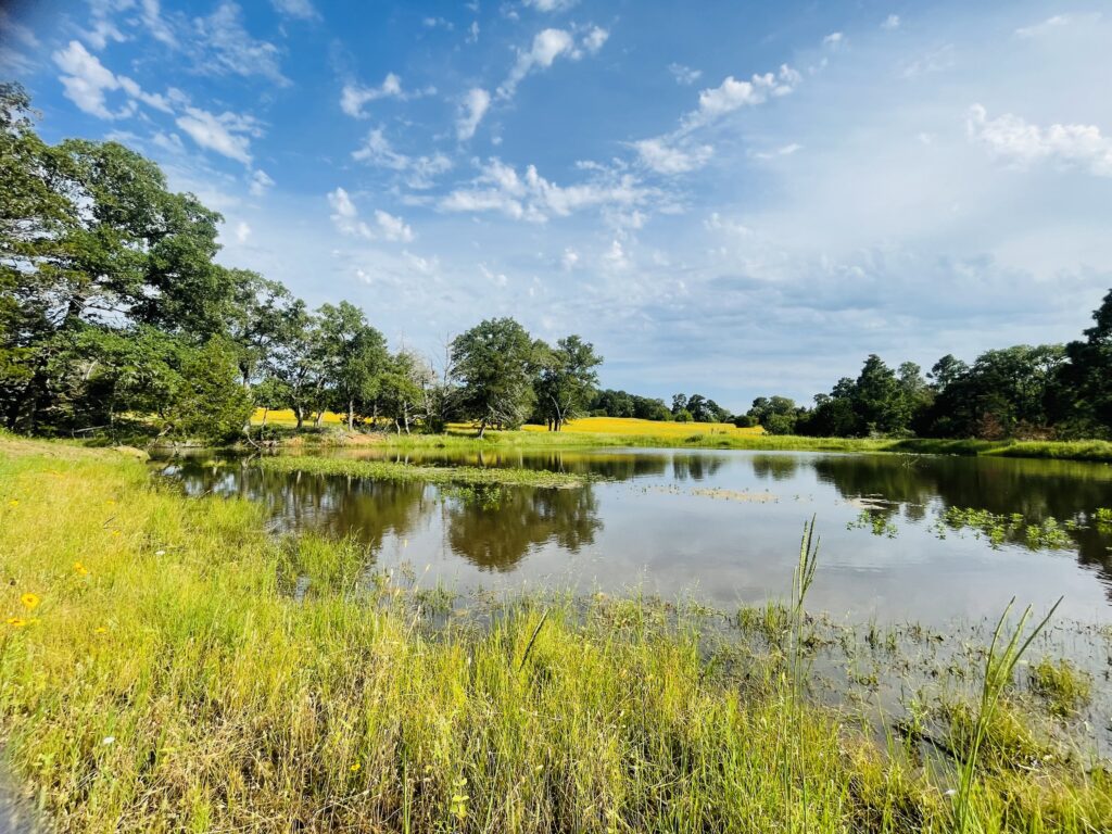 Learn about Texas wildlife management plans for Texas Landowners. 