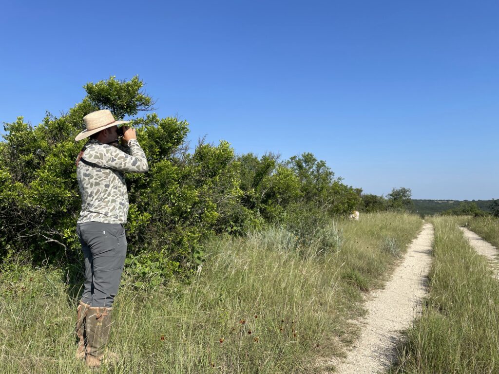 A man walks a field in Texas with binoculars conducting a spring breeding bird survey. 