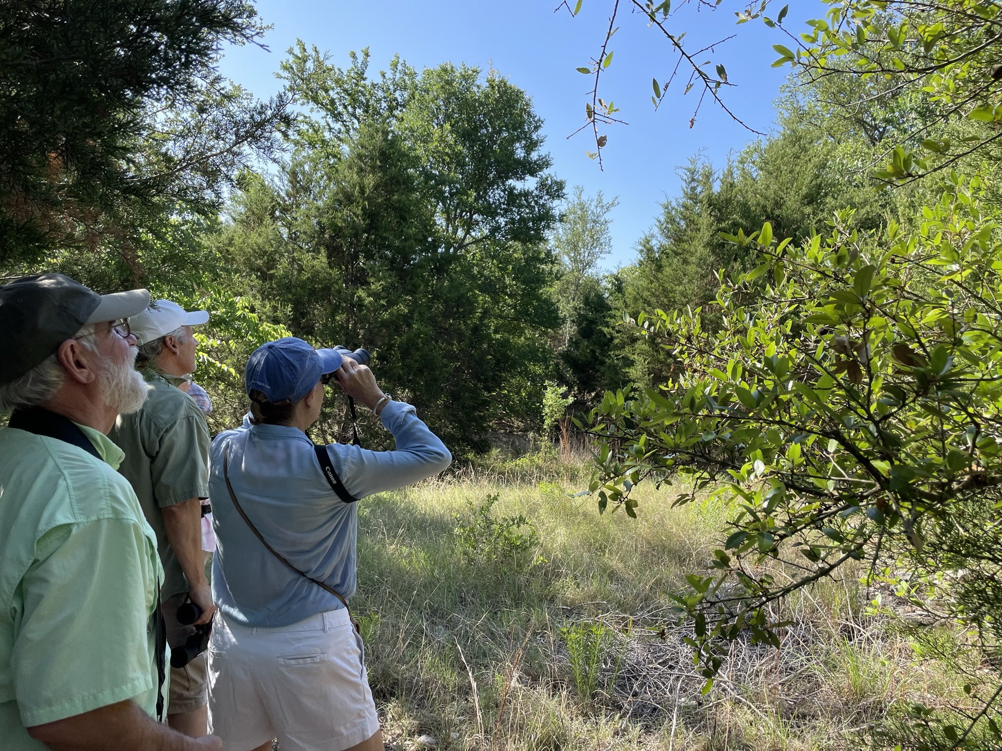 A group of birders documenting species.
